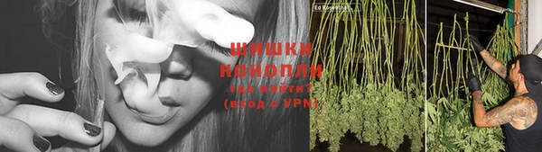PSILOCYBIN Бородино