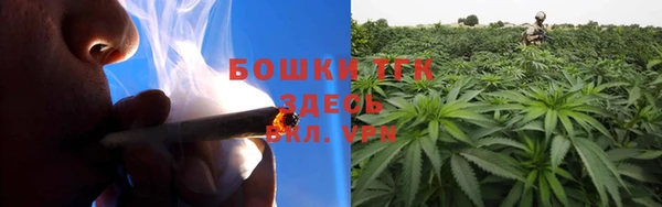 PSILOCYBIN Бородино