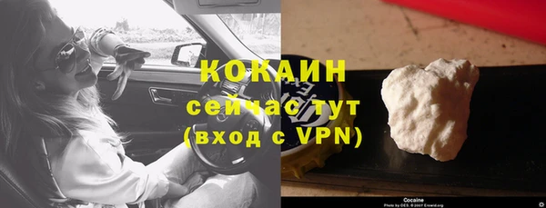 PSILOCYBIN Бородино