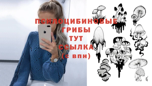 гидра Бугульма