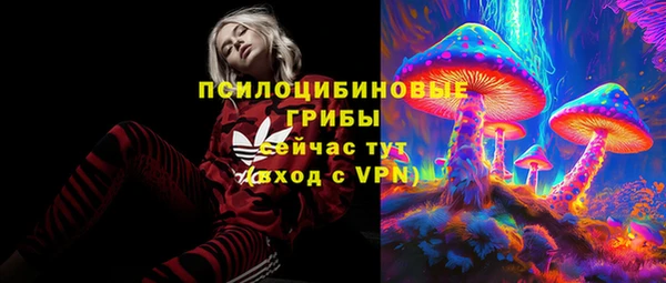 хмурый Бронницы