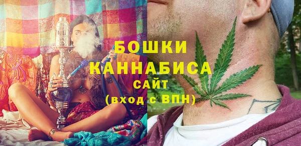 хмурый Бронницы