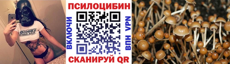 Купить закладки  Асино  Галлюциногенные грибы MAGIC MUSHROOMS 